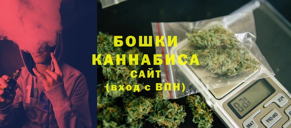 трава Аркадак