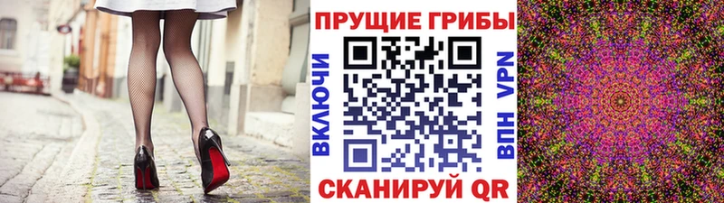 гидра как зайти  Белогорск  Псилоцибиновые грибы GOLDEN TEACHER  наркота 